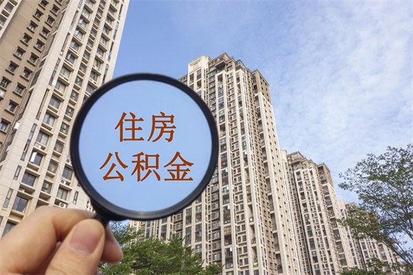 章丘深圳公积金（深圳公积金首页）